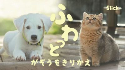 slickアイキャッチ画像