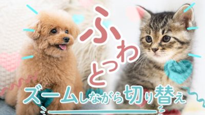 【ズーム機能を追加】Slick/全画面でふわっと切り替えスライドショー