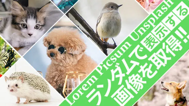 ランダムで画像を取得し表示させることができるサイト「Lorem Picsum」【URLでimg取得】