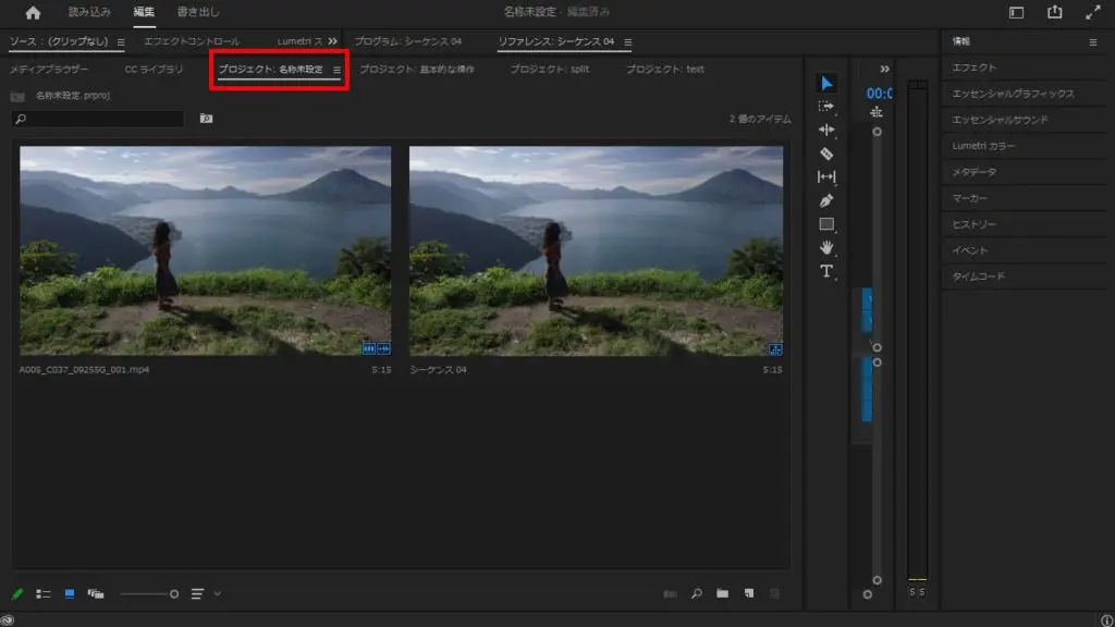 プロジェクトパネル