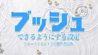 リモートリポジトリの製作者以外がプッシュできるようにする設定方法