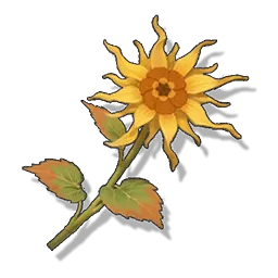 キンセンカルマ