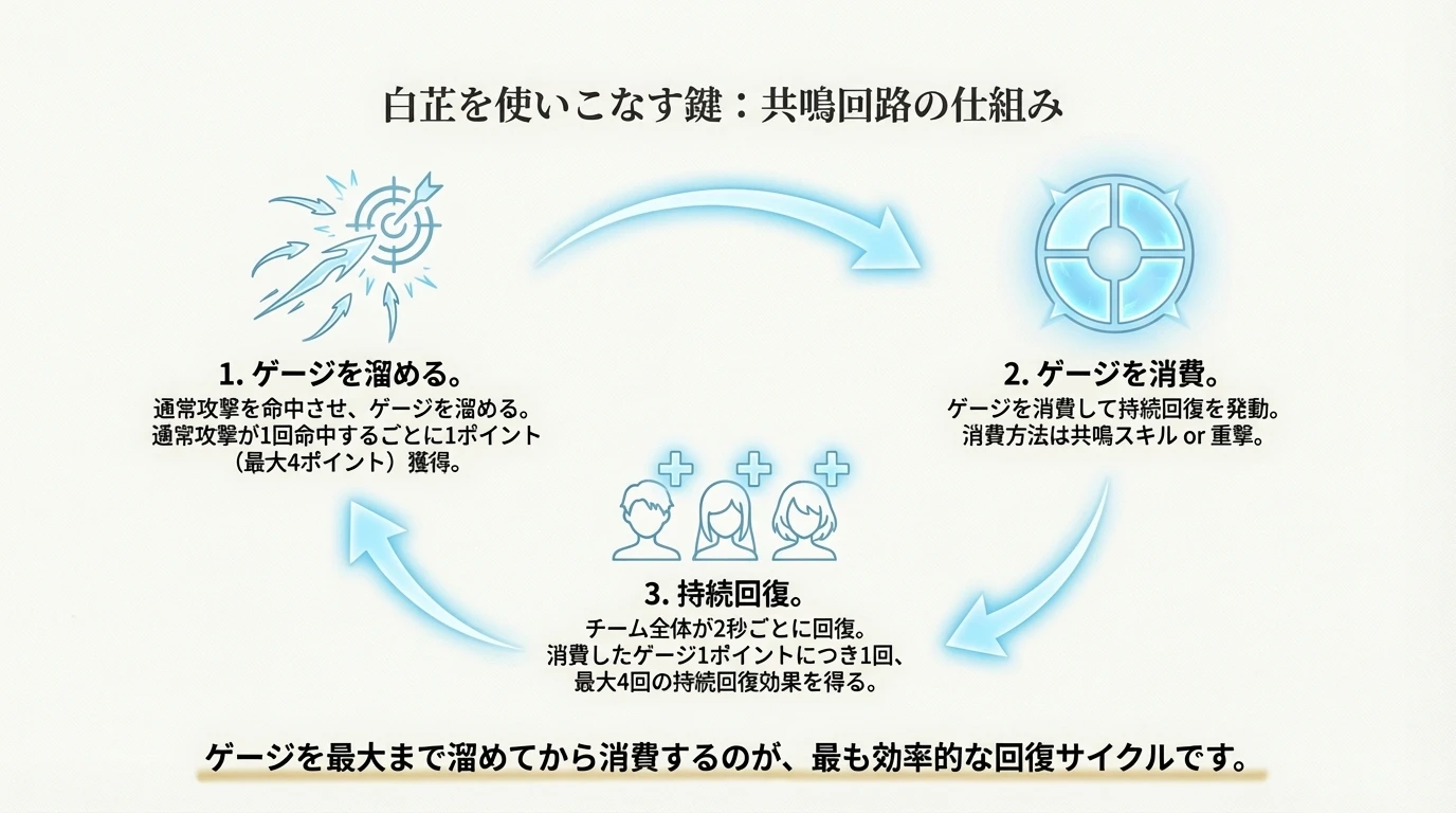 白芷 Resonance Skill