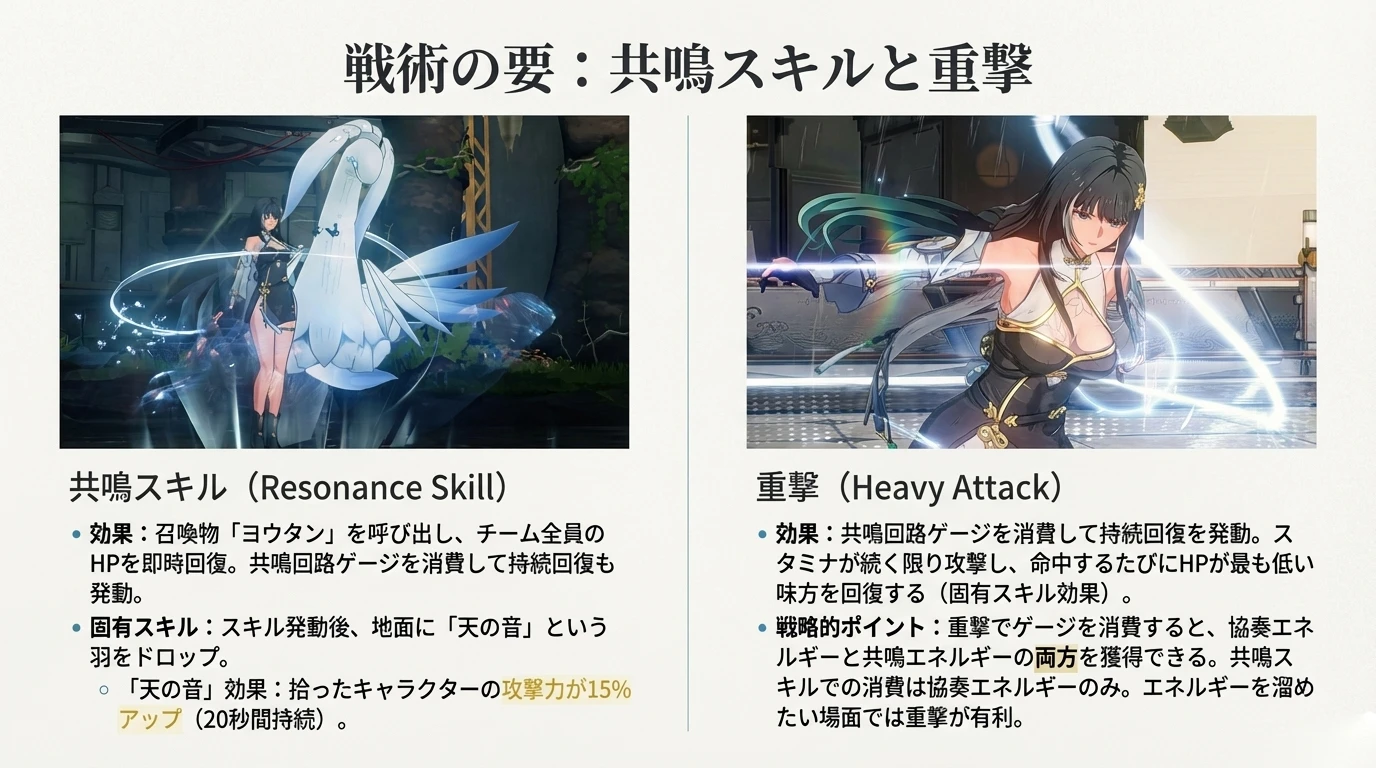 白芷 Resonance Liberation